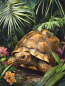 Preview: Diamond Painting Meerschildkröte